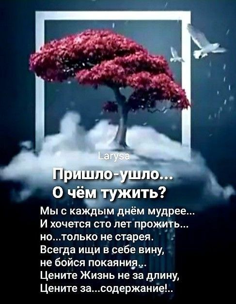 Мы с каждым днём мудрее И хочется сто лет прожміъ нцтопько не старея Всегда ищи в себе вину не бойся покаянии Цените Жизнь не за длину Цените засодержание