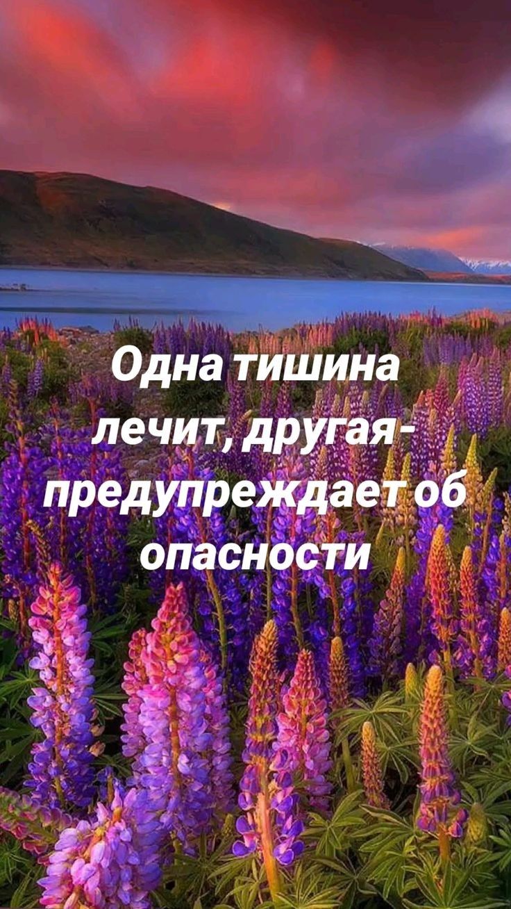 Одна тишина лечит другая предупреждаетёо опасности 3 в __ до г А а дд у __ г