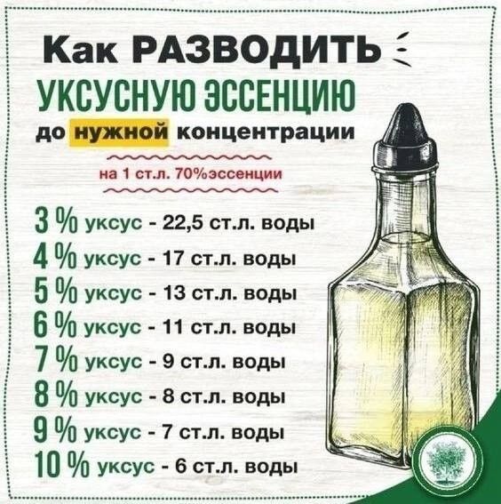 Как РАЗВОДИТЬ і УКБУВНУЮ ЗСПЕНЦИЮ до концентрации м 1 сип ТОЧ эссенции з уксус 225 стл воды 4 уксус 11 стл воды 5 уксус 13 стл виды 6 УКсус 11 стл воды 7 УКсус 9 стл воды 8 уксус 8 стл виды 9 уксус 7 стл веды 10 уксус 6 стл воды