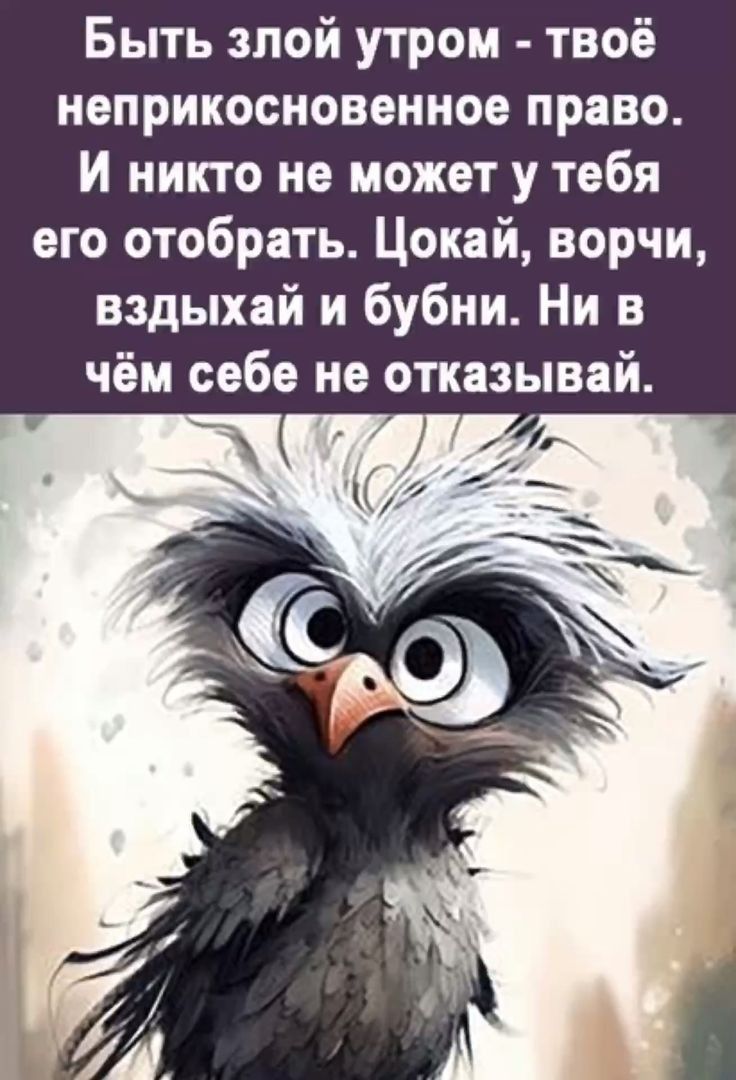 Быть зпой утром твоё неприкосновенное право и никто не может у тебя его отобрать Цокай ворчи вздыхай и бубии Ни в чём себе не отказывай