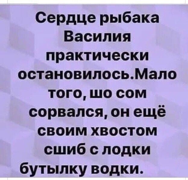 Сердце рыбака Василия практически остановилосьМало того шо сом сорвался он ещё своим хвостом сшиб лодки бутылку водки