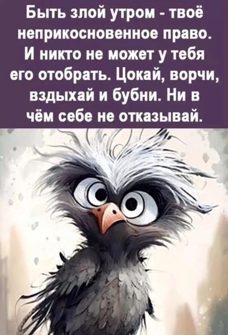 Быть злой утром твоё неприкосновенное право И никто не может у тебя его отобрать Цокай ворчи вздыхай и бубни Ни в чём себе не отказываи