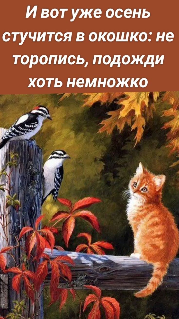 И вот уже осень стучится в окошко не торопись подожди хоть немножко 7 и 5 о7 3