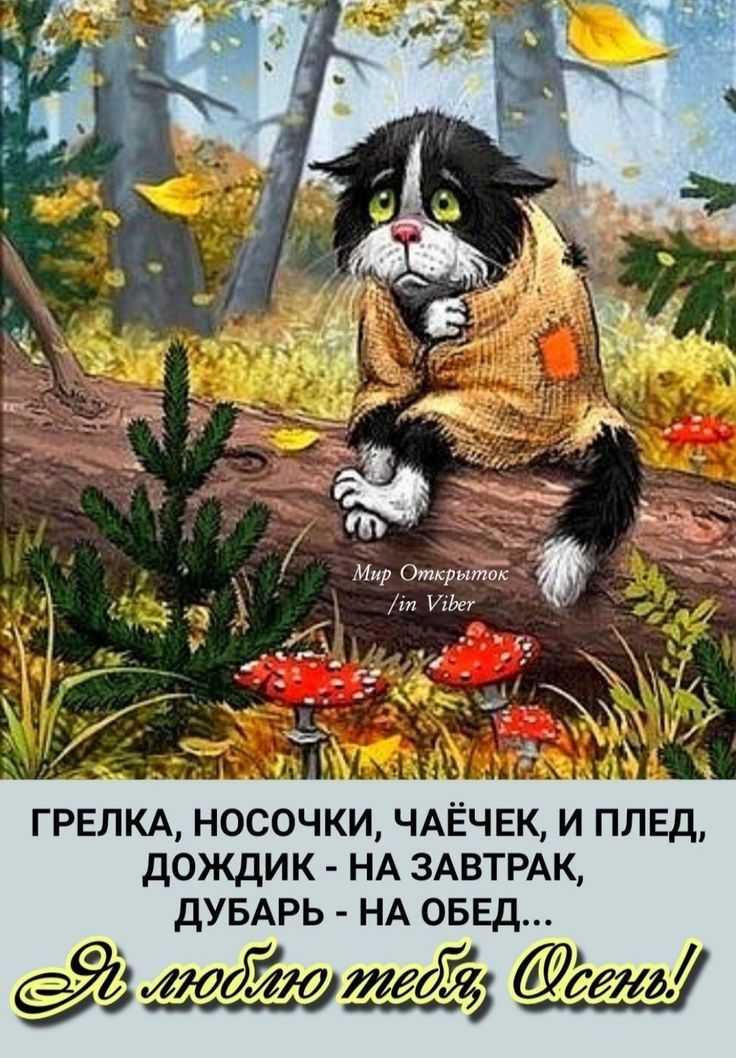 Пь вт Уте у т ГРЕЛКА НОСОЧКИ ЧАЁЧЕК И ПЛЕД ДОЖДИК НА ЗАВТРАК ДУБАРЬ НА ОБЕД ЛМЁЁМИ_ЁЁЁ ст