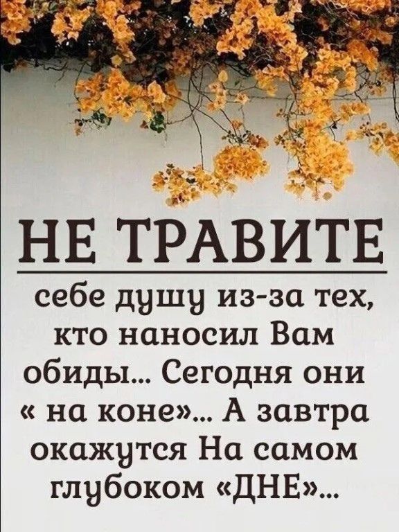 НЕ ТРАВИТЕ себе душу из за тех кто наносил Вам обиды Сегодня они на коне А завтра окажутся На самом глубоком ДНЕ