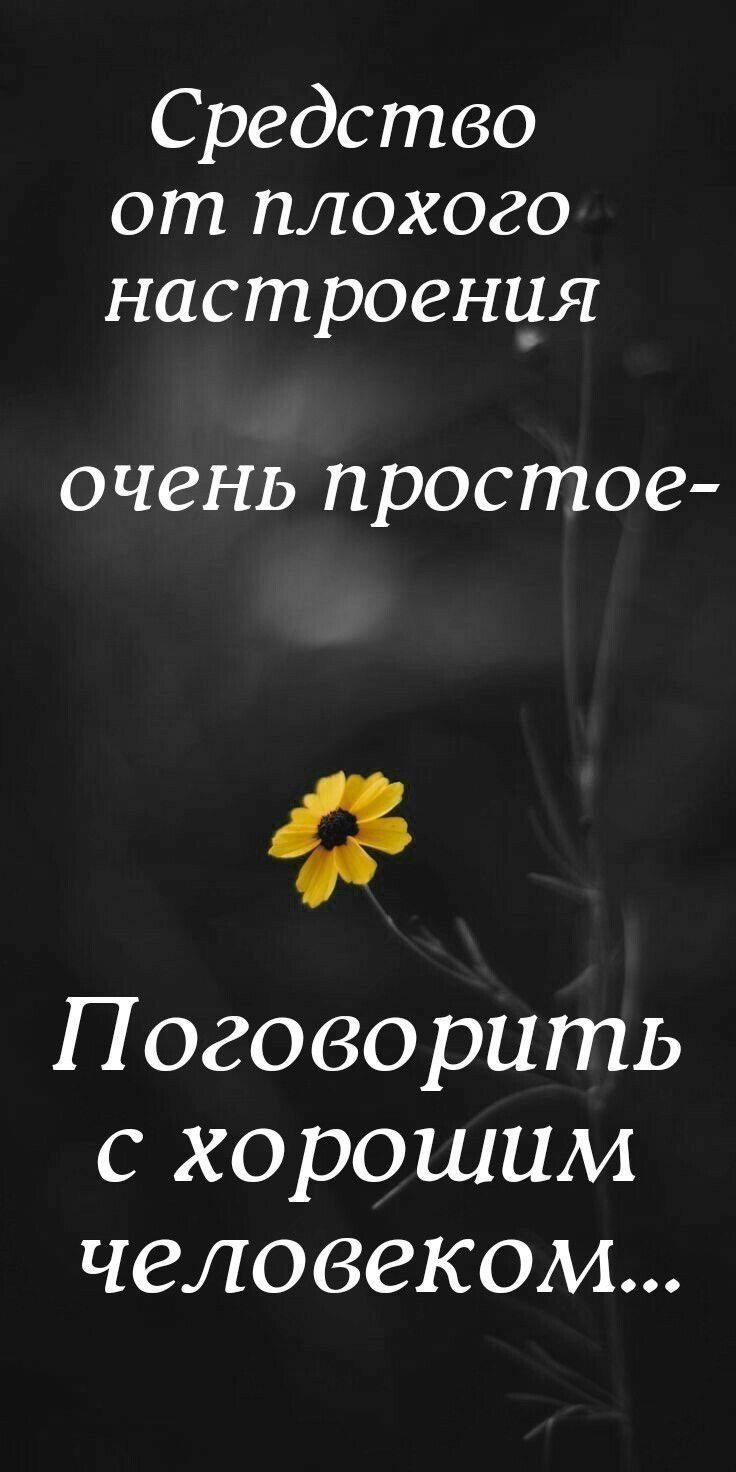 Средство от плохого настроения очень простое 4 Поговорить с хорошим человеком