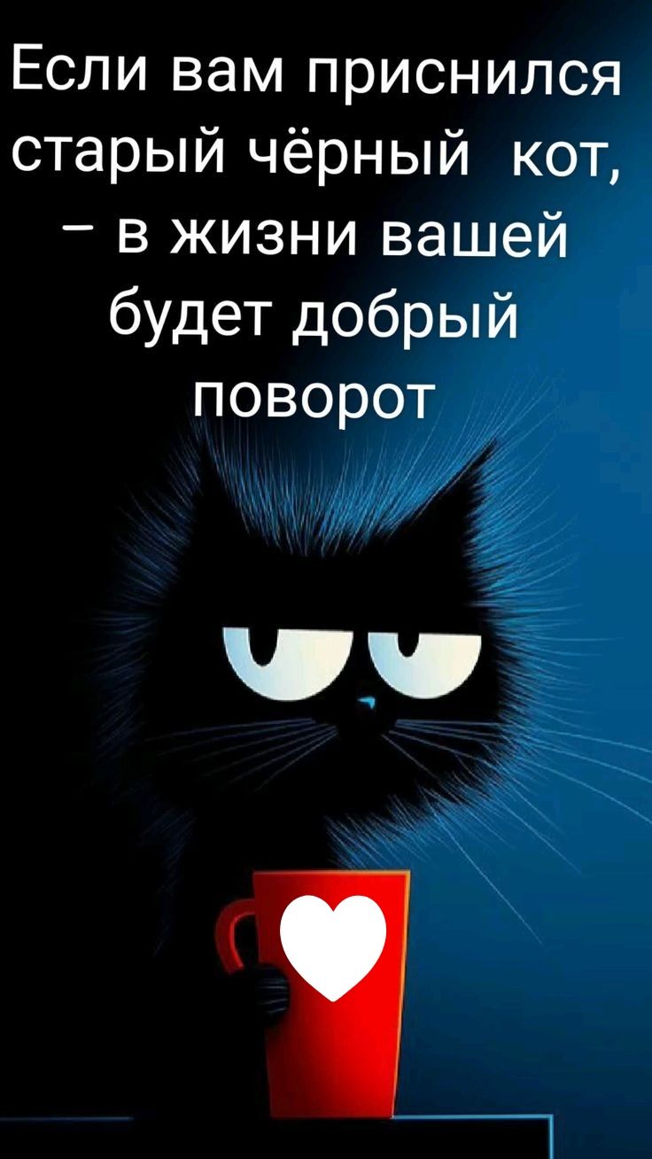 Если вам приснился старый чёрный кот в жизни вашей будет добрый поворот Р