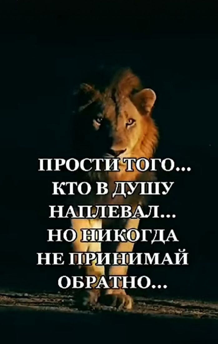 ПРОСТИЖОГО КТО В ДУШУ НАПЛЕВАЛ НОИКГДА НЕ ПРИНИМАИ