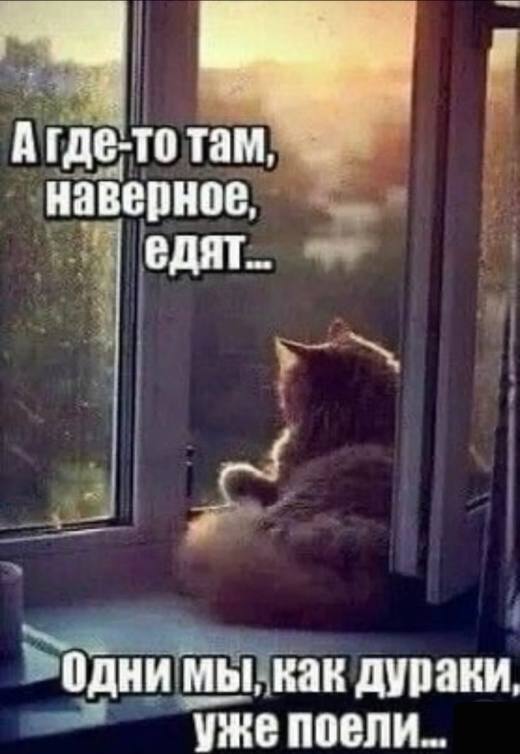 20Одни мЫ как дураки нн е поели