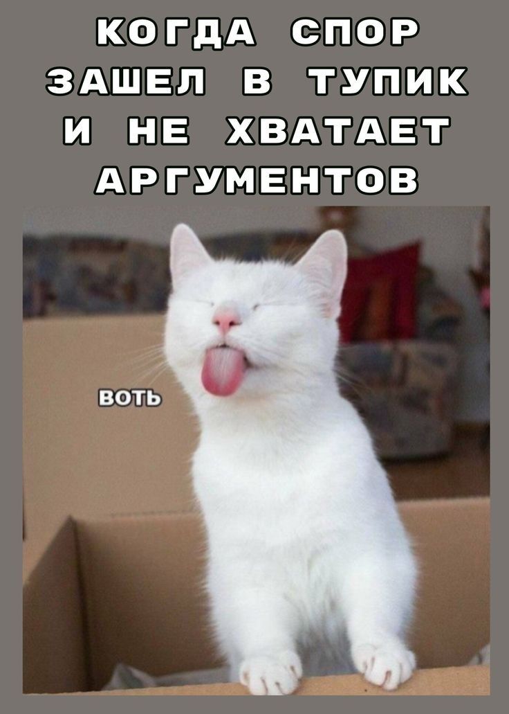 КОгГдДА СсПпоР ЗАШЕЛ В ТУПИК И НЕ ХВАТАЕТ АРГПУМЕНТОВ