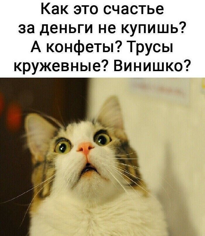 Как это счастье за деньги не купишь А конфеты Трусы кружевные Винишко