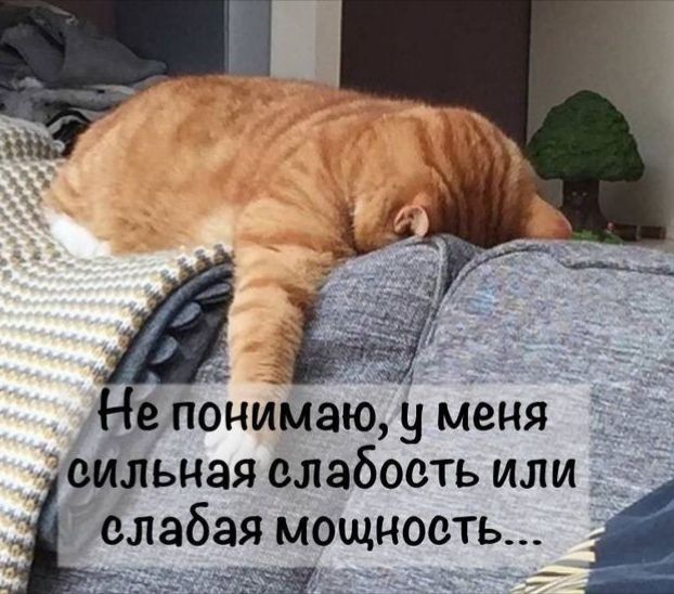 е понимаю у меня сильная слабость или слабая мощность