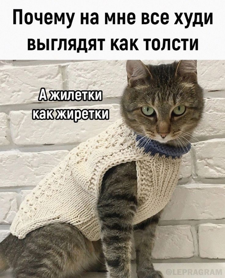 Почему на мне все худи выглядят как толсти ВАбжилеткиюю В т