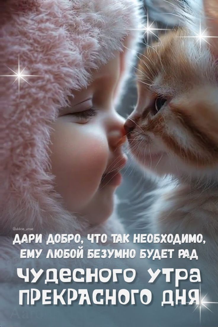 ддри ОБРО ЧТО ОДИМо ЕМУ ЛЮЕ БУД чудесного УТра ПРЕКРАСНОГО дня
