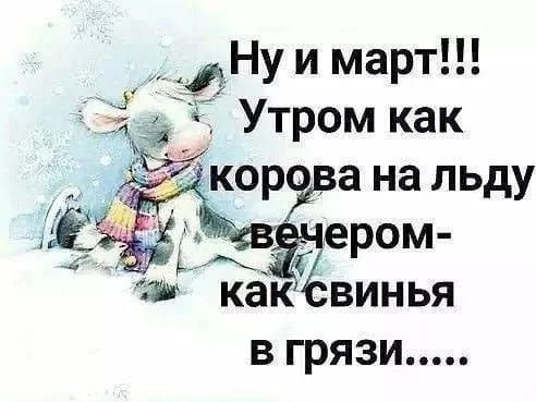 Ну и март!!! Утром как корова на льду вечером- как свинья в грязи.....