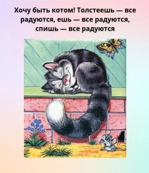 Хочу быть котом! Толстеешь — все радуются, ешь — все радуются, спишь — все радуются