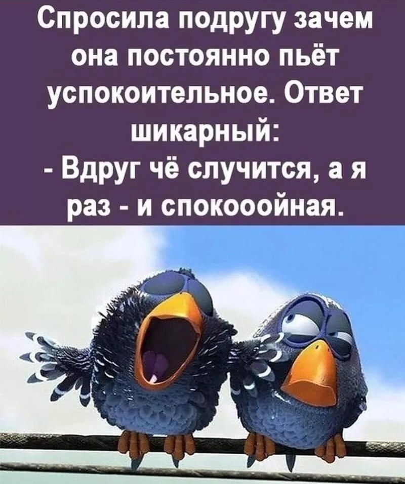 Спросила подругу зачем она постоянно бьет успокоительное. Ответ шикарный: - Вдруг чё случится, а я раз - и спокойная.