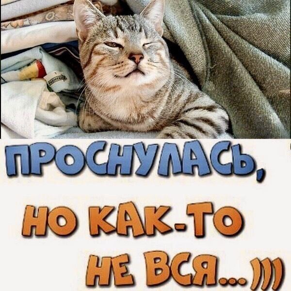 ПРОСНУЛАСЬ, НО КАК-ТО НЕ ВСЯ...)))