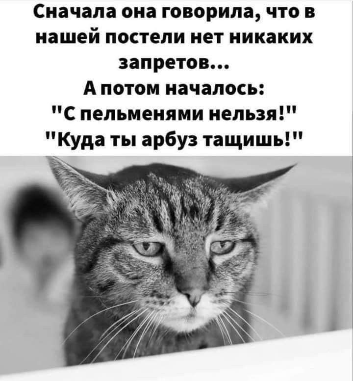 Сначала она говорила, что в нашей постели нет никаких запретов... А потом началось: 