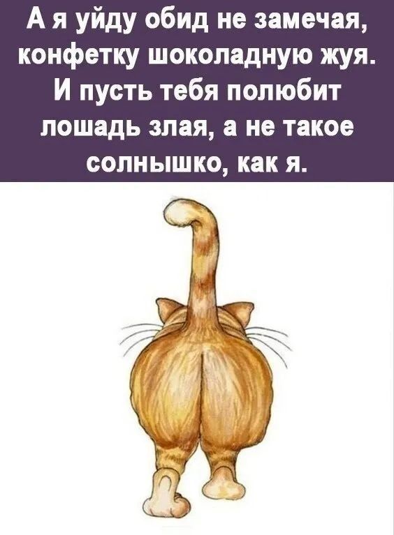 А я уйду обид не замечая, конфетку шоколадную жуя. И пусть тебя полюбит лошадь злая, а не такое солнышко, как я.