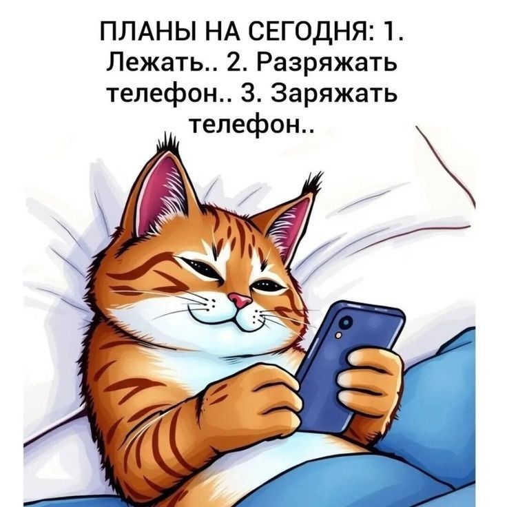 ПЛАНЫ НА СЕГОДНЯ: 1. Лежать.. 2. Разряжать телефон.. 3. Заряжать телефон..