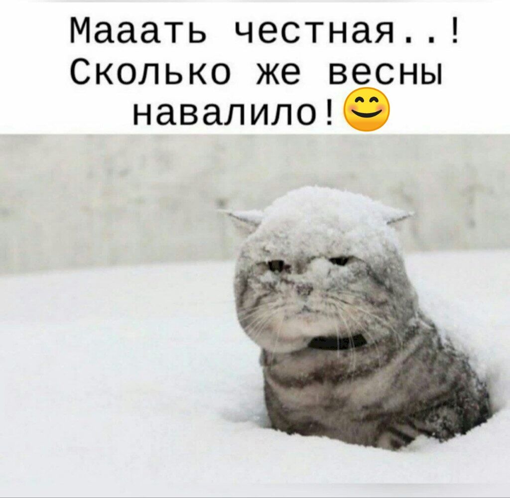 Мааать честная..! Сколько же весны навалило! 😊