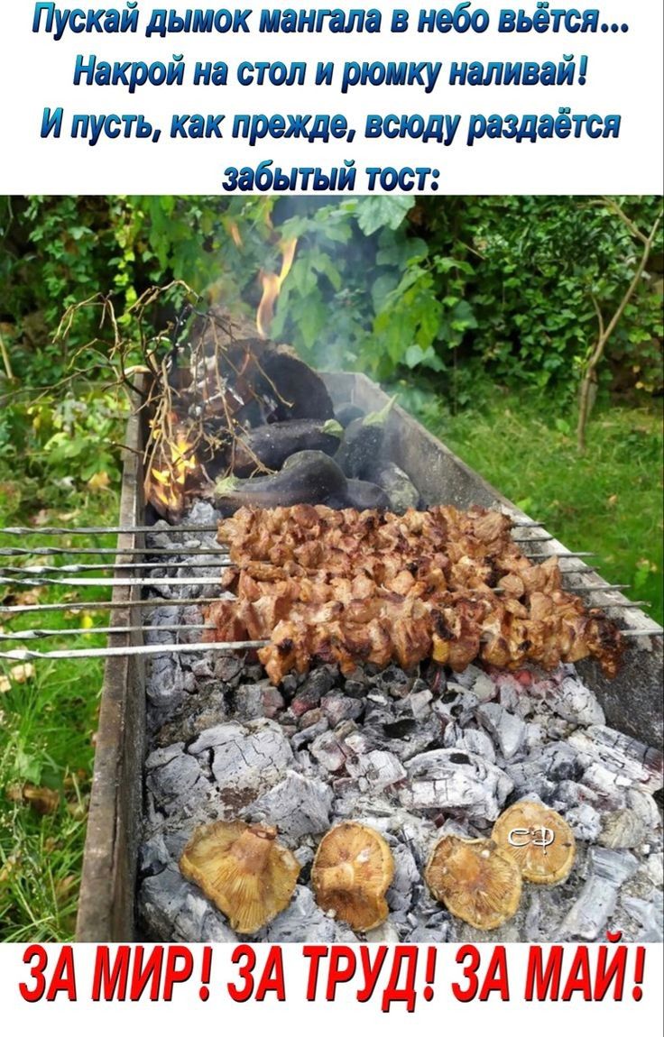 Пускай дымок мангала в небо вьётся... Накрой на стол и рюмку наливай! И пусть, как прежде, всенародно раздаётся забытый тост: ЗА МИР! ЗА ТРУД! ЗА МАЙ!