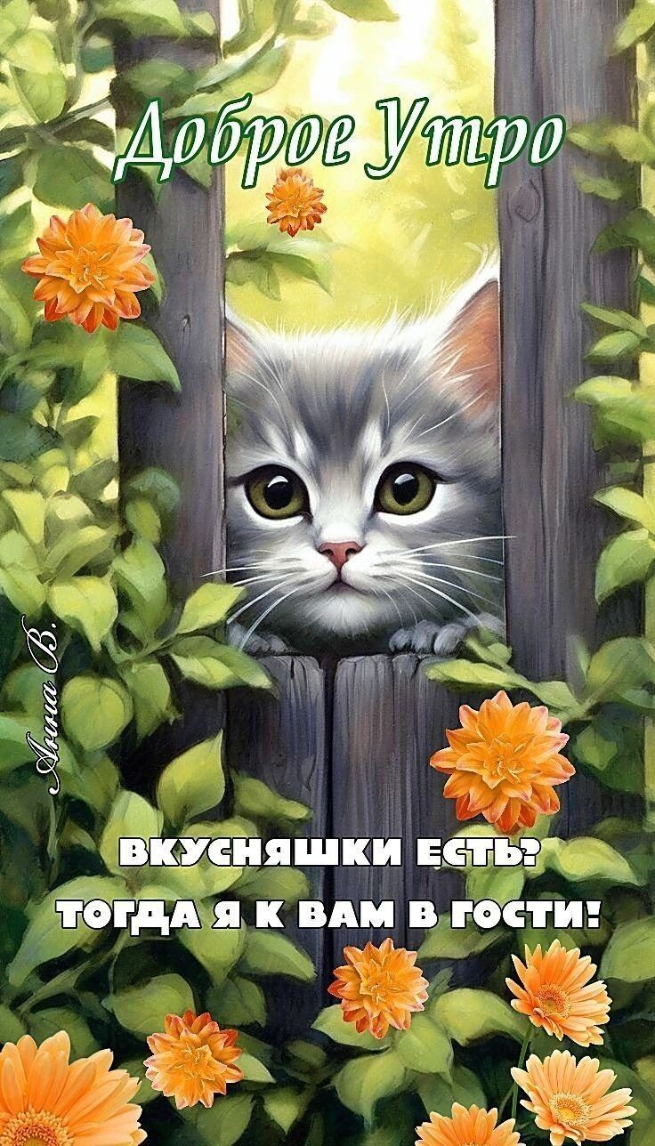 Доброе Утро
Вкусняшки есть? Тогда я к вам в гости!