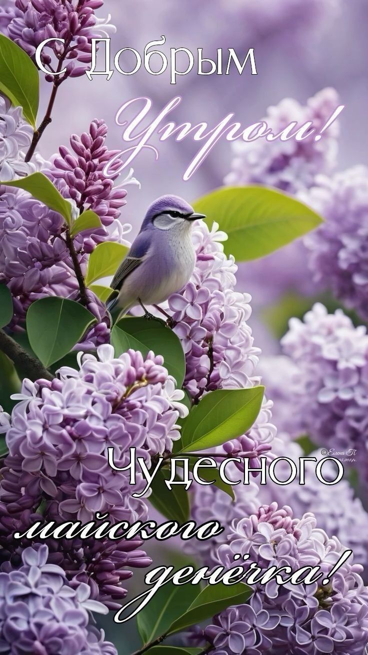 С Добрым Утром! Чудесного майского денёчка!