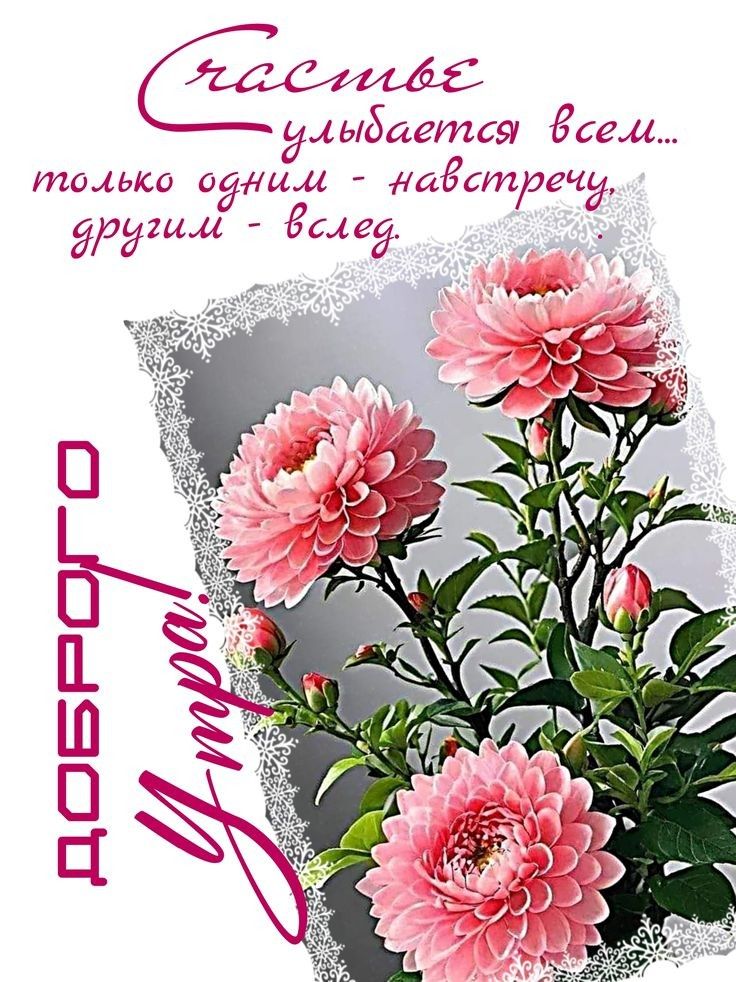 Счастье улыбается всем... только одним - навстречу, другим - вслед. ДОБРОГО УТРА!