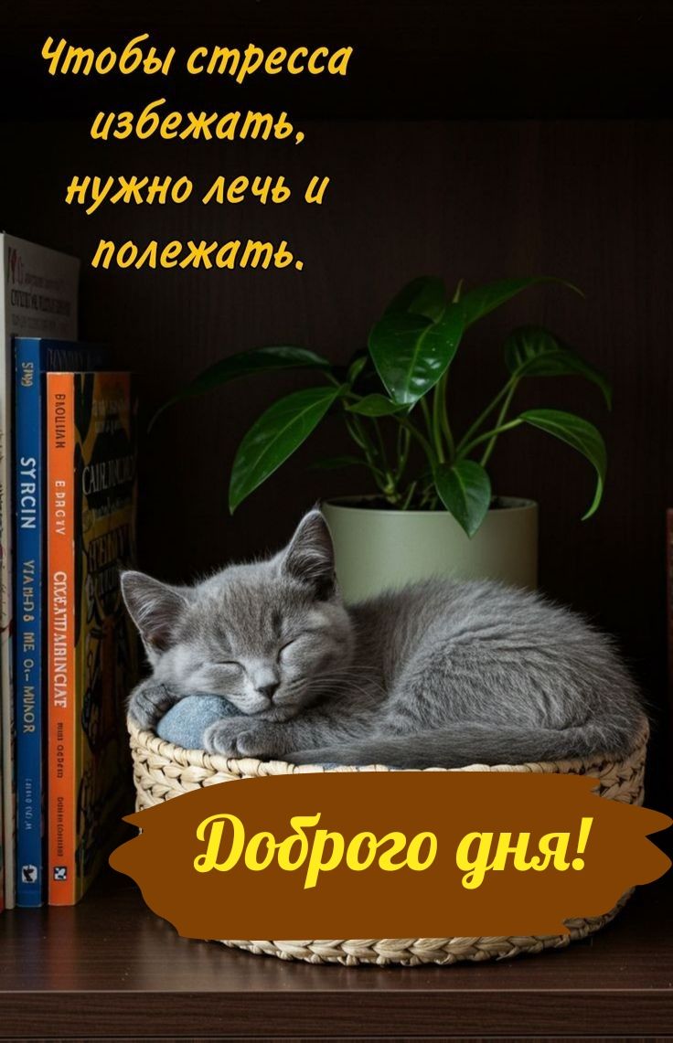 Чтобы стресса избежать, нужно лечь и полежать.
Доброе утро!