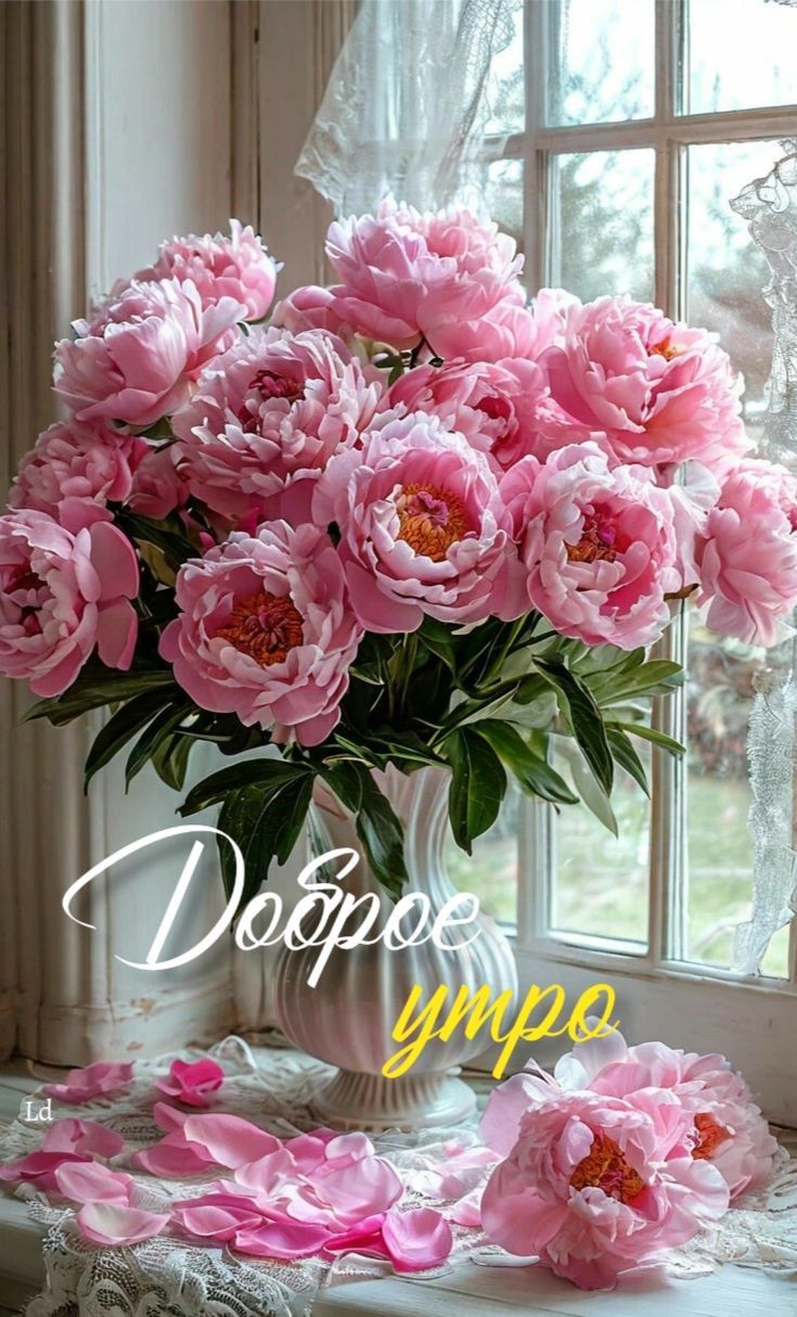 Доброе утро