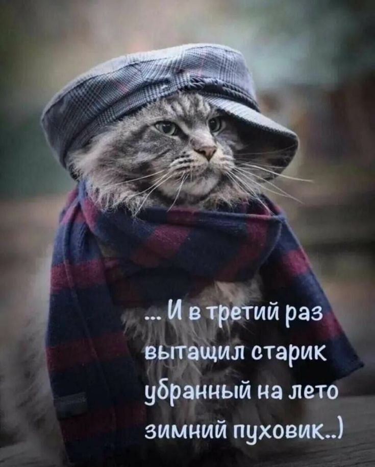 ... И в третий раз вытасчил старик убранный на лето зимний пуховик..)