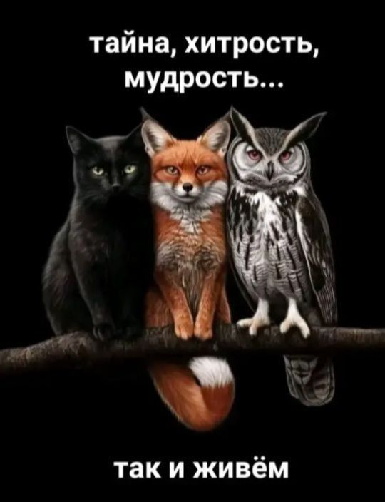 тайна, хитрость, мудрость...
так и живём