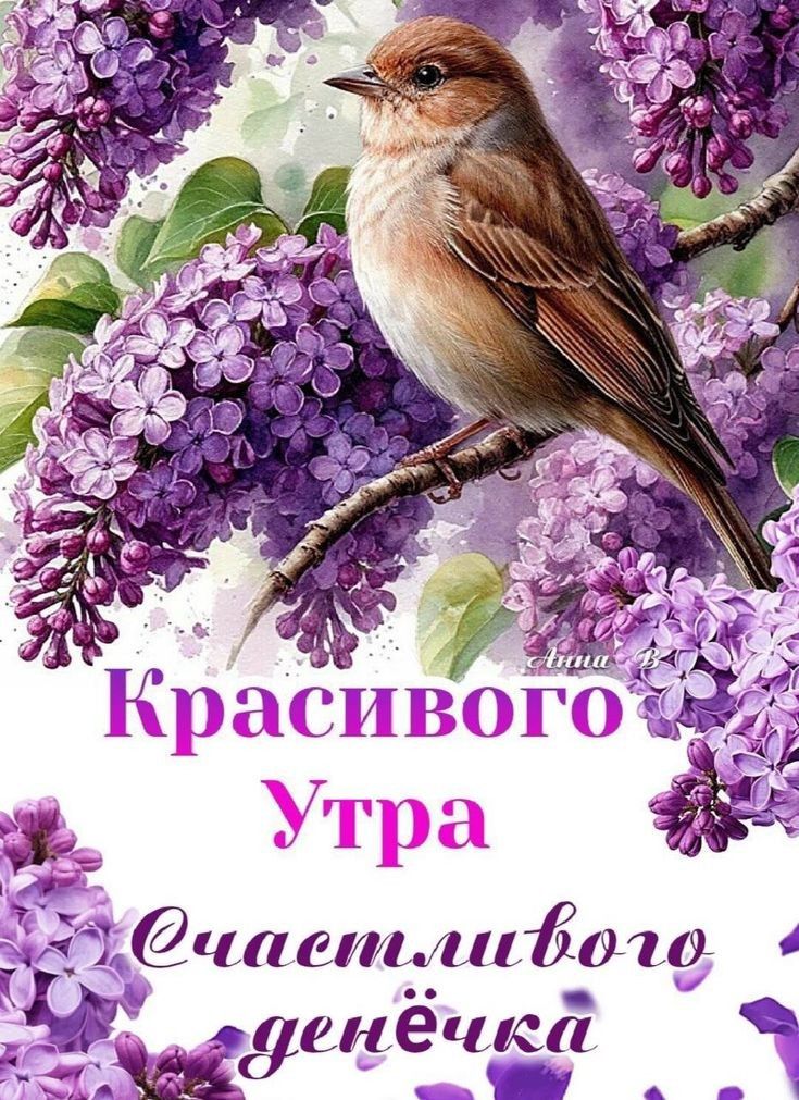 Красивого Утра
Счастливого денёчка