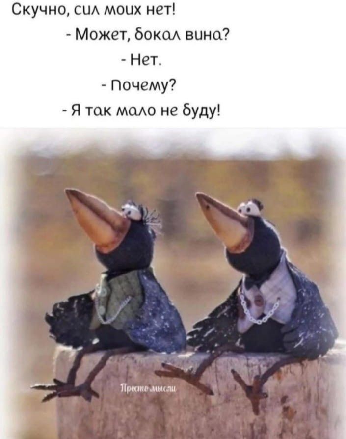 Скучно, сил моих нет!
- Может, бокал вина?
- Нет.
- Почему?
- Я так мало не буду!