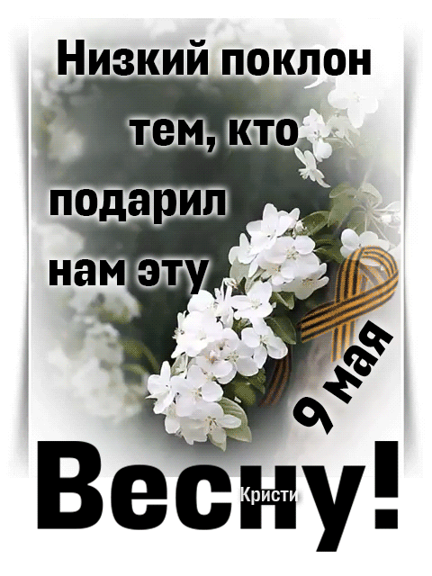 Низкий поклон тем, кто подарил нам эту 9 мая Весну! Кристи!