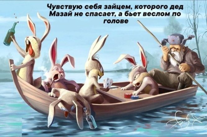 Чувствую себя зайцем, которого дед Мазай не спасает, а бьет веслом по голове