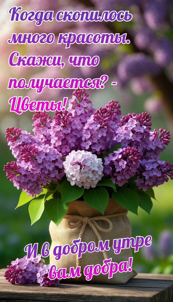 Когда скопилось много красоты. Скажи, что получается? - Цветы! И в добром утре вам добра!