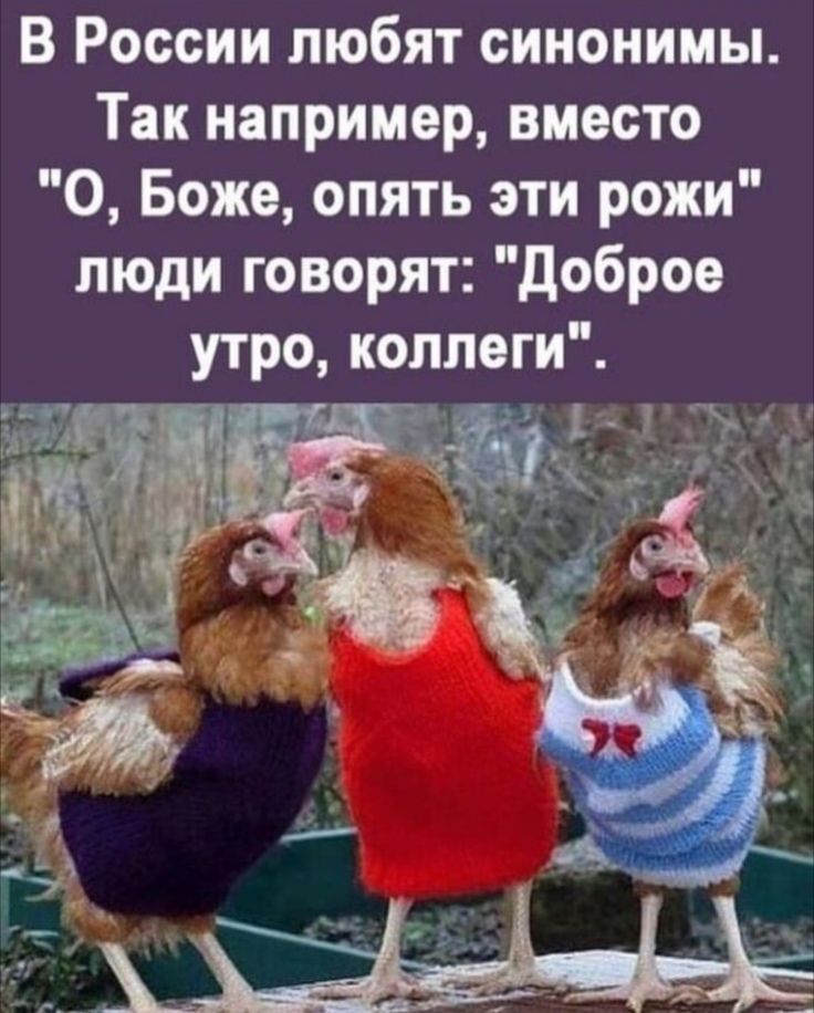 В России любят синонимы. Так например, вместо 