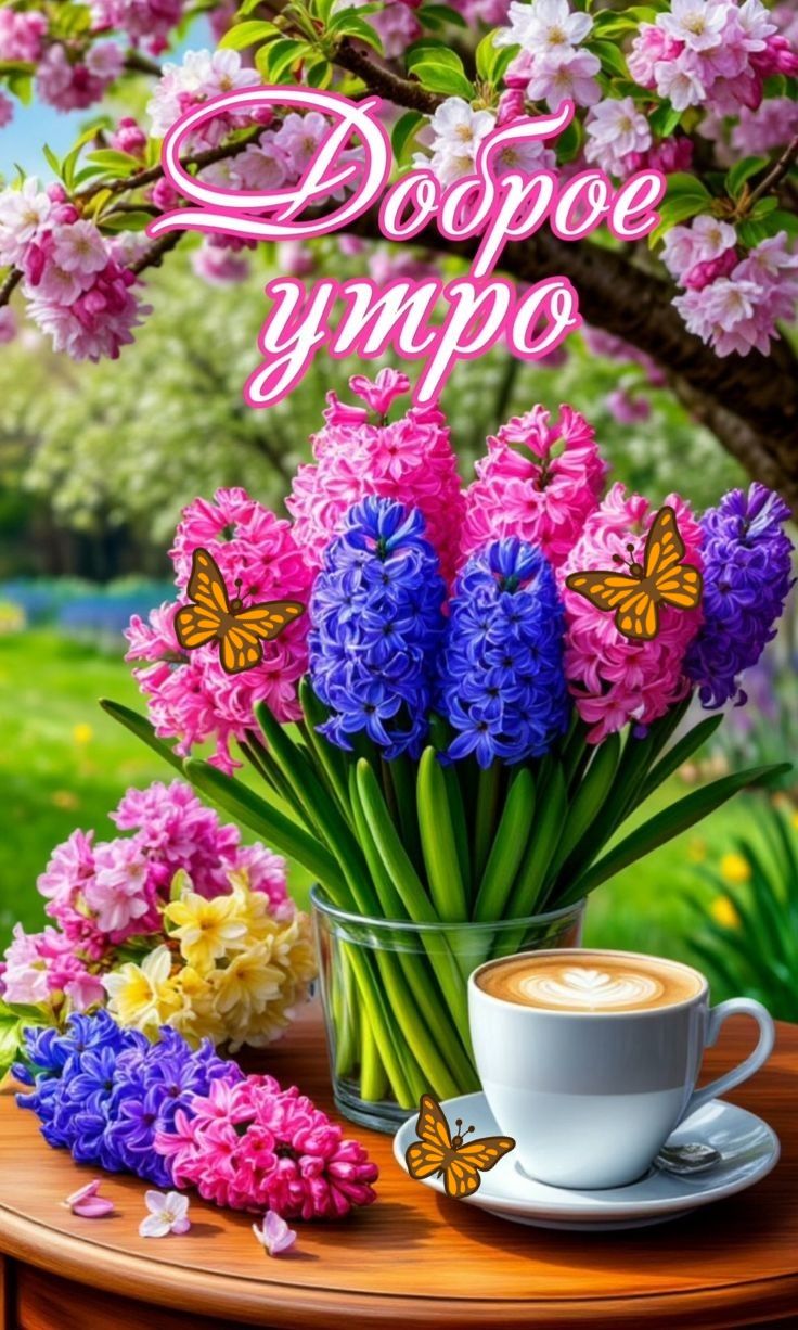 Доброе утро