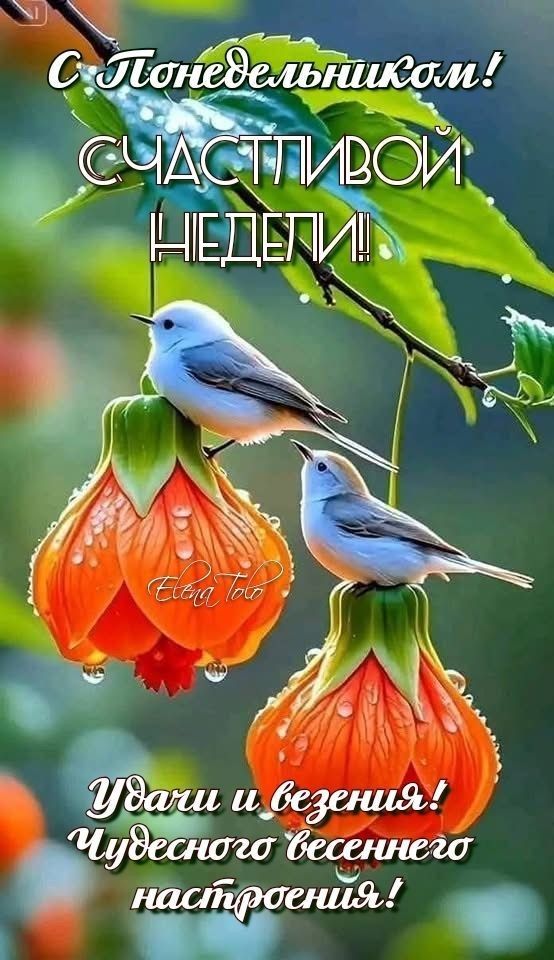 С Понедельником! Счастливой недели!! Удачи и везения! Чудесного весеннего настроения!