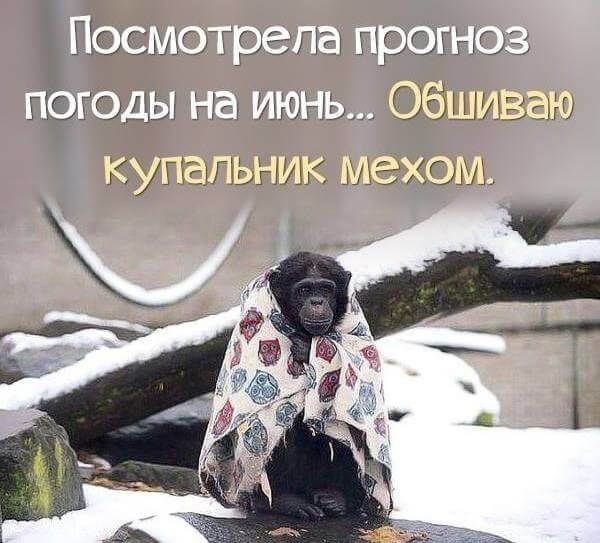 Посмотрела прогноз погоды на июнь... Обшиваю купальник мехом.