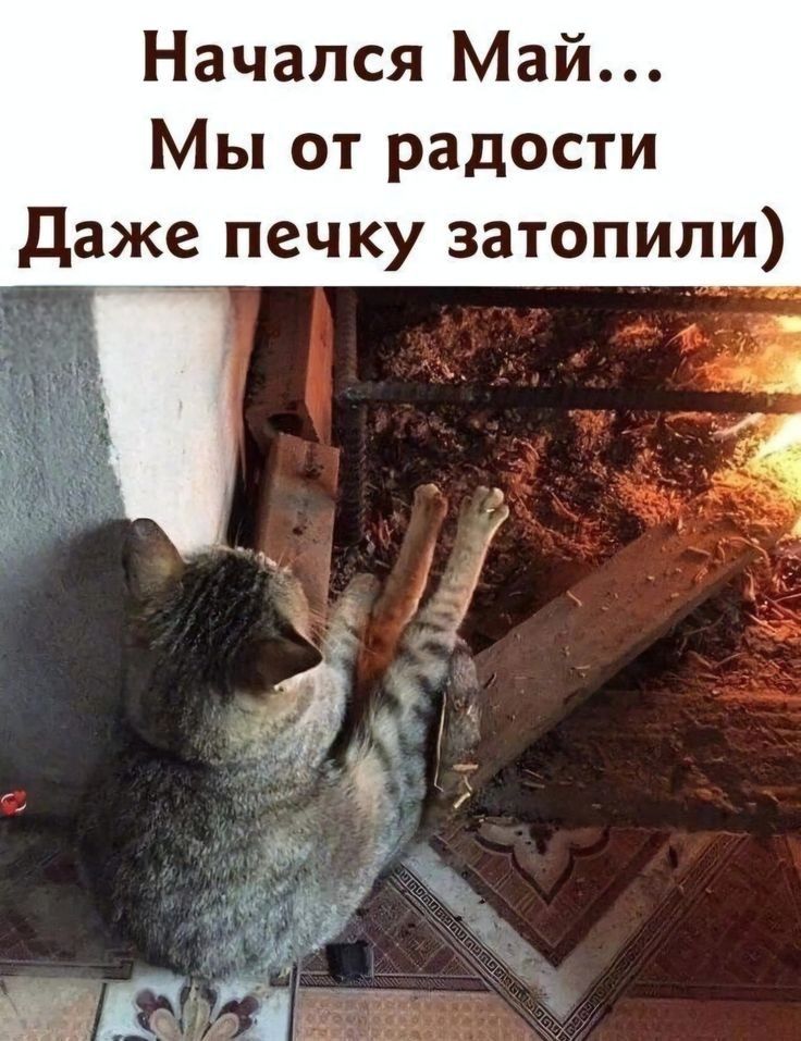 Начался Май... Мы от радости Даже печку затопили)