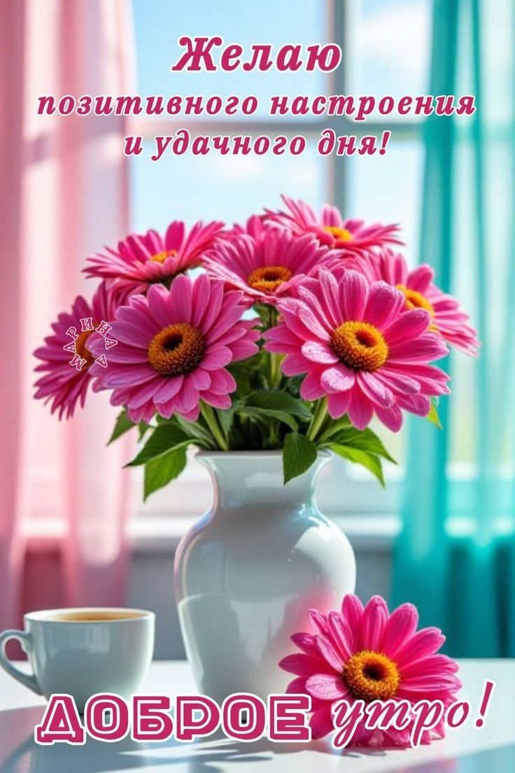 Желаю положительного настроения и удачного дня!
ДОБРОЕ УТРО!