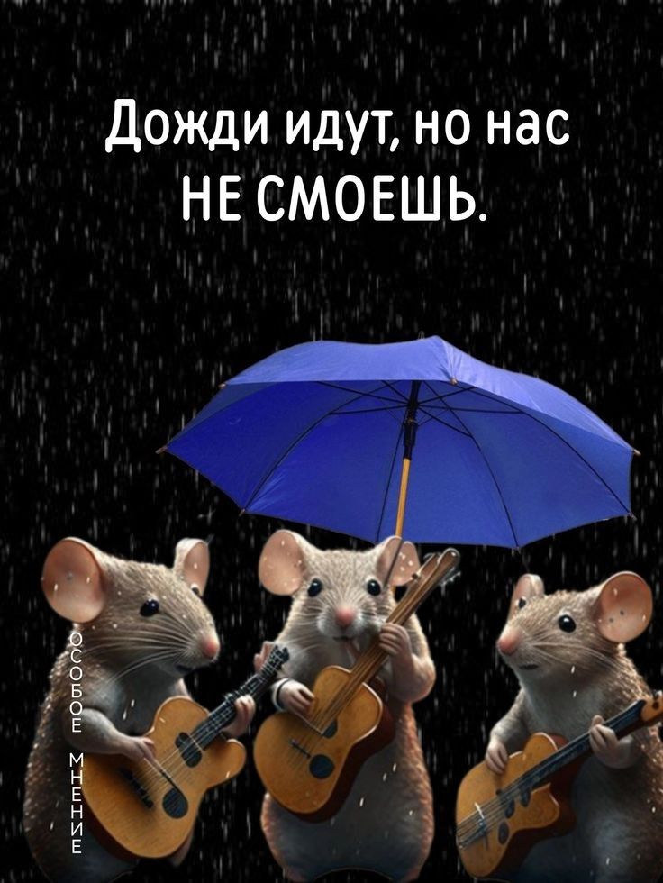 Дожди идут, но нас НЕ СМОЕШЬ.