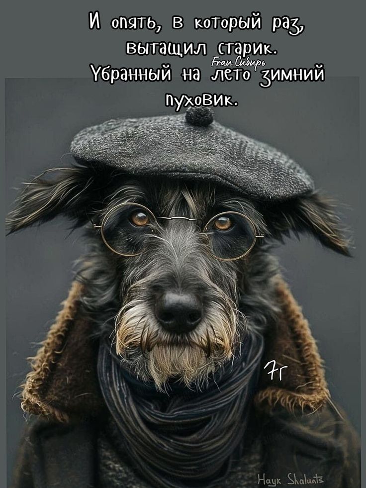 И опять, в который раз, вытасчил старик. Убранный на лето зимний пуховик.