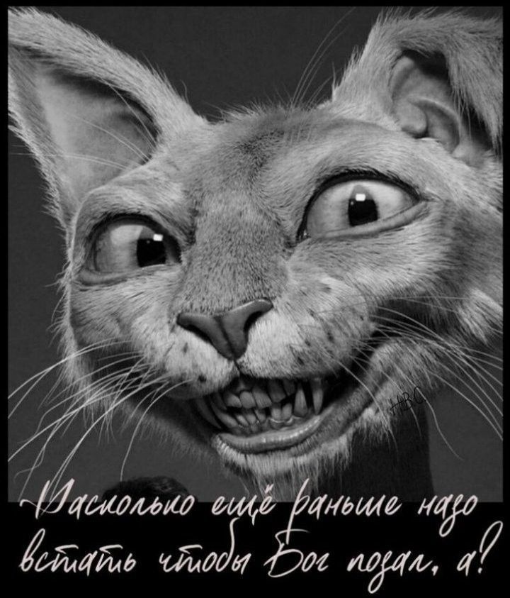 Насколько еще раньше надо встать, чтобы Бог позвал, а?