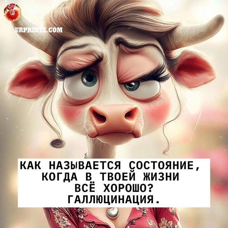 КАК НАЗЫВАЕТСЯ СОСТОЯНИЕ, КОГДА В ТВОЕЙ ЖИЗНИ ВСЁ ХОРОШО? ГАЛЛЮЦИНАЦИЯ.