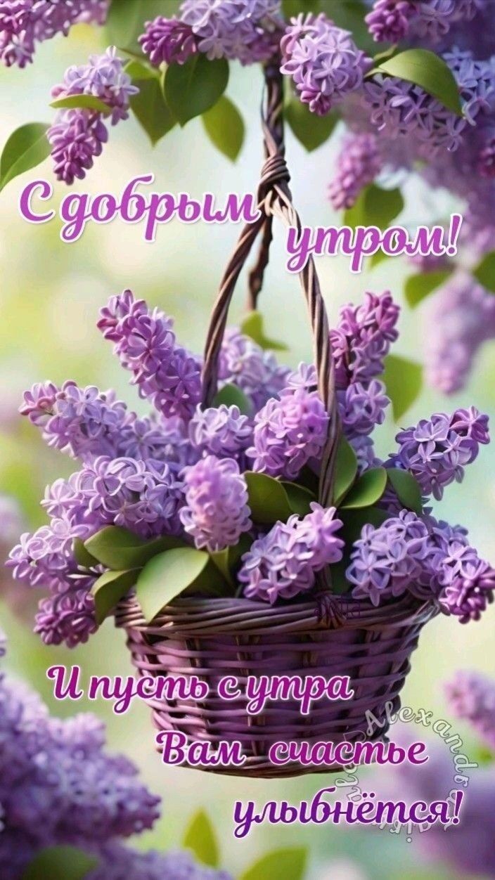С добрым утром! И пусть утра Вам счастье улыбнётся!